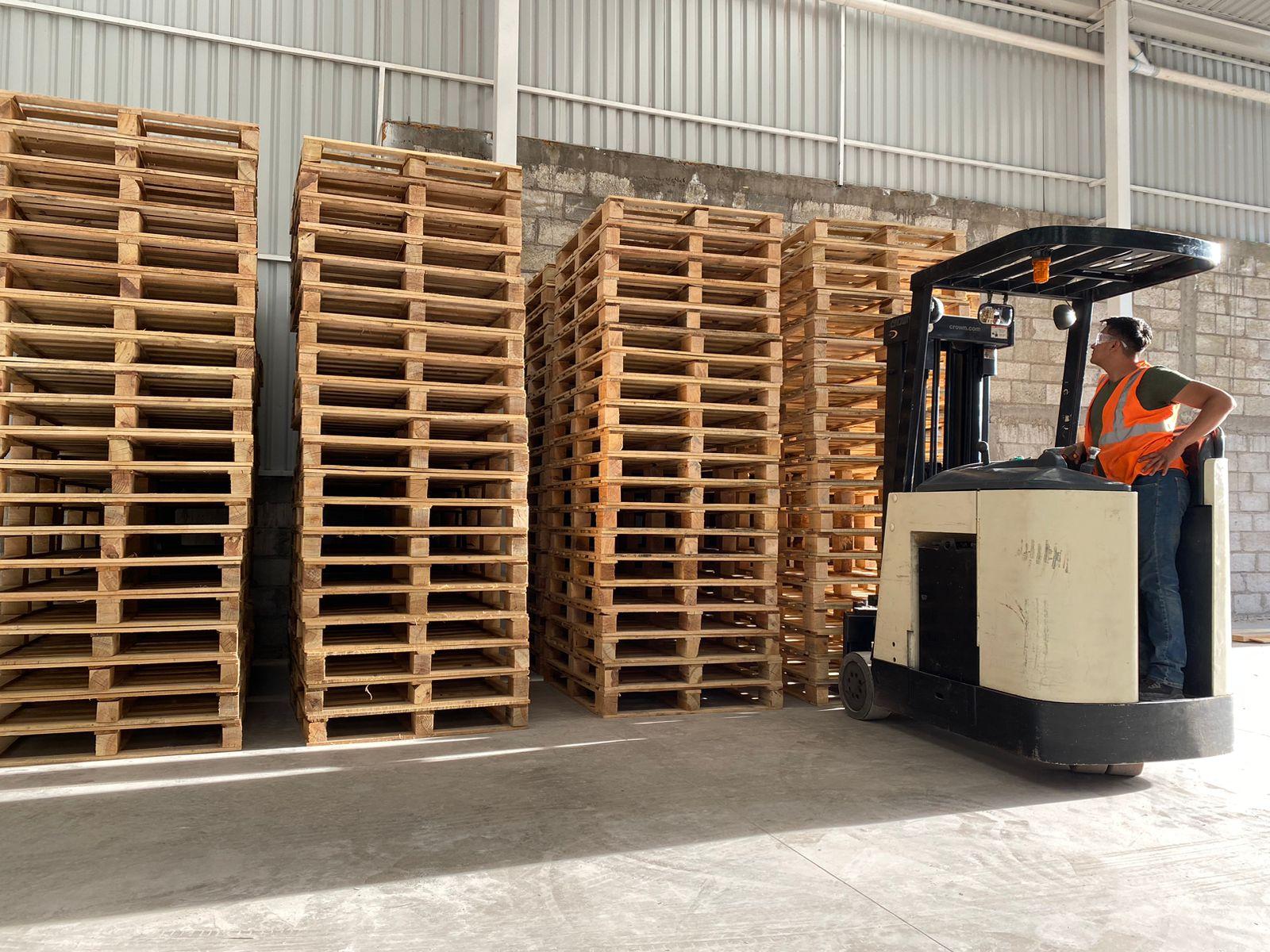 Bc Pallets Palltek – Tarimas y Embalajes